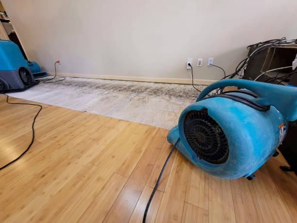 Professional Flood Damage Cleanup technician working in Orrington, ME